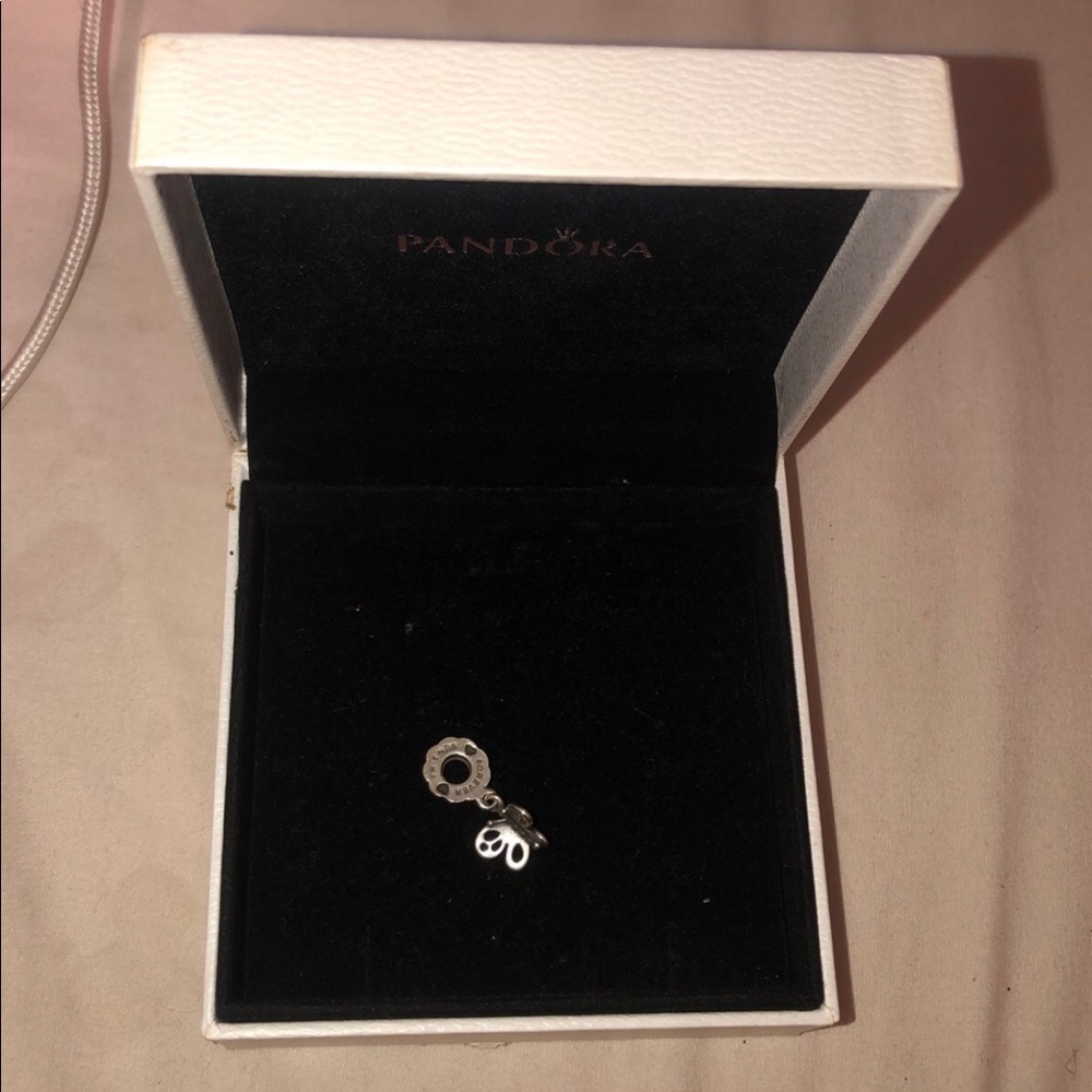 Pandora charm